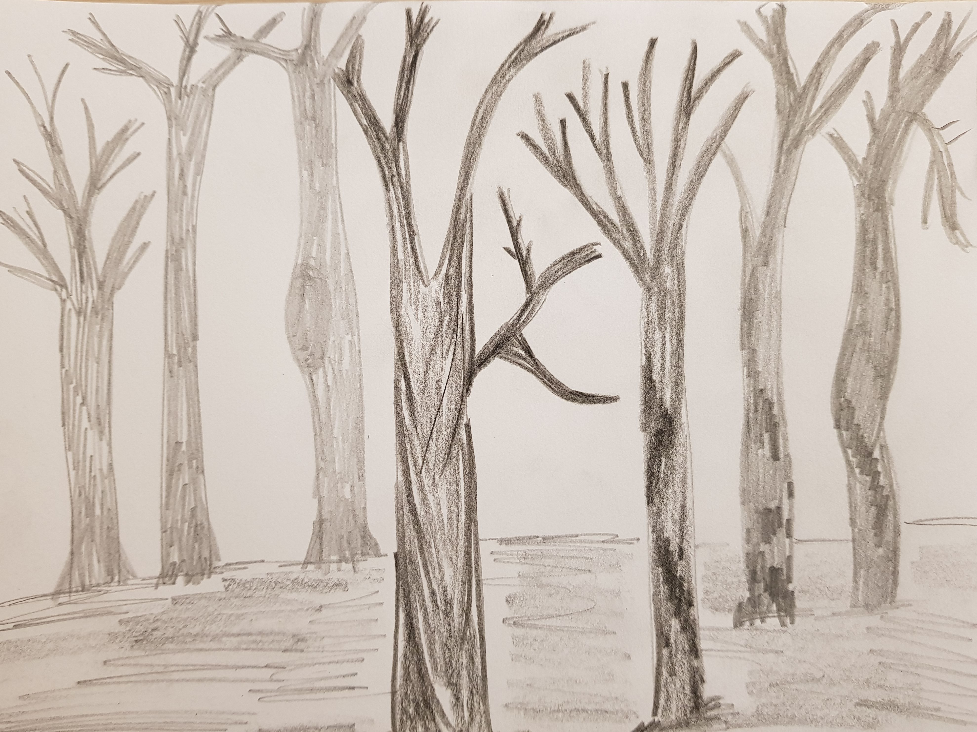 El Bosque