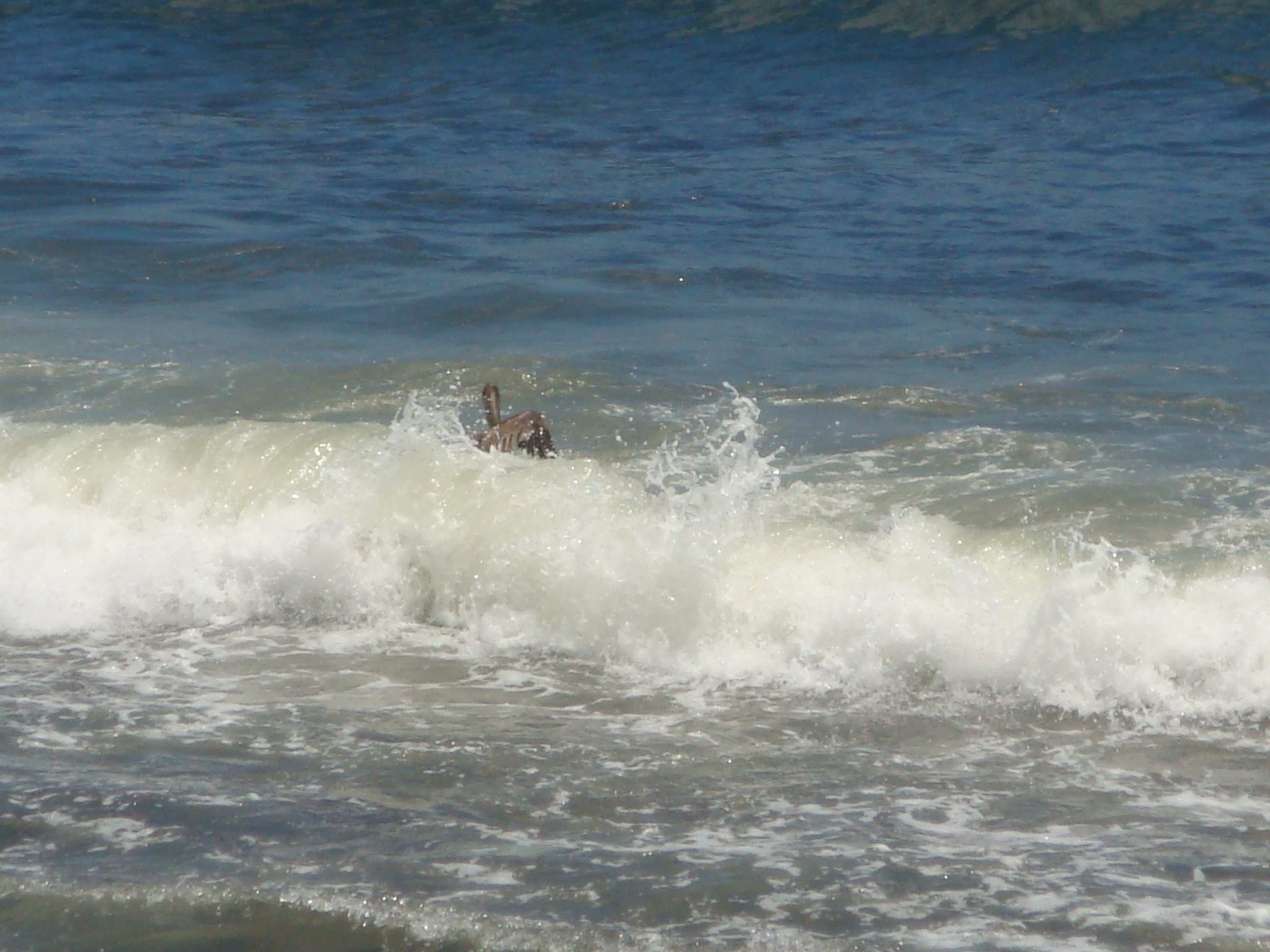 El mar sabroso
