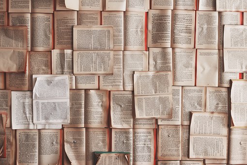 El periódico salvador