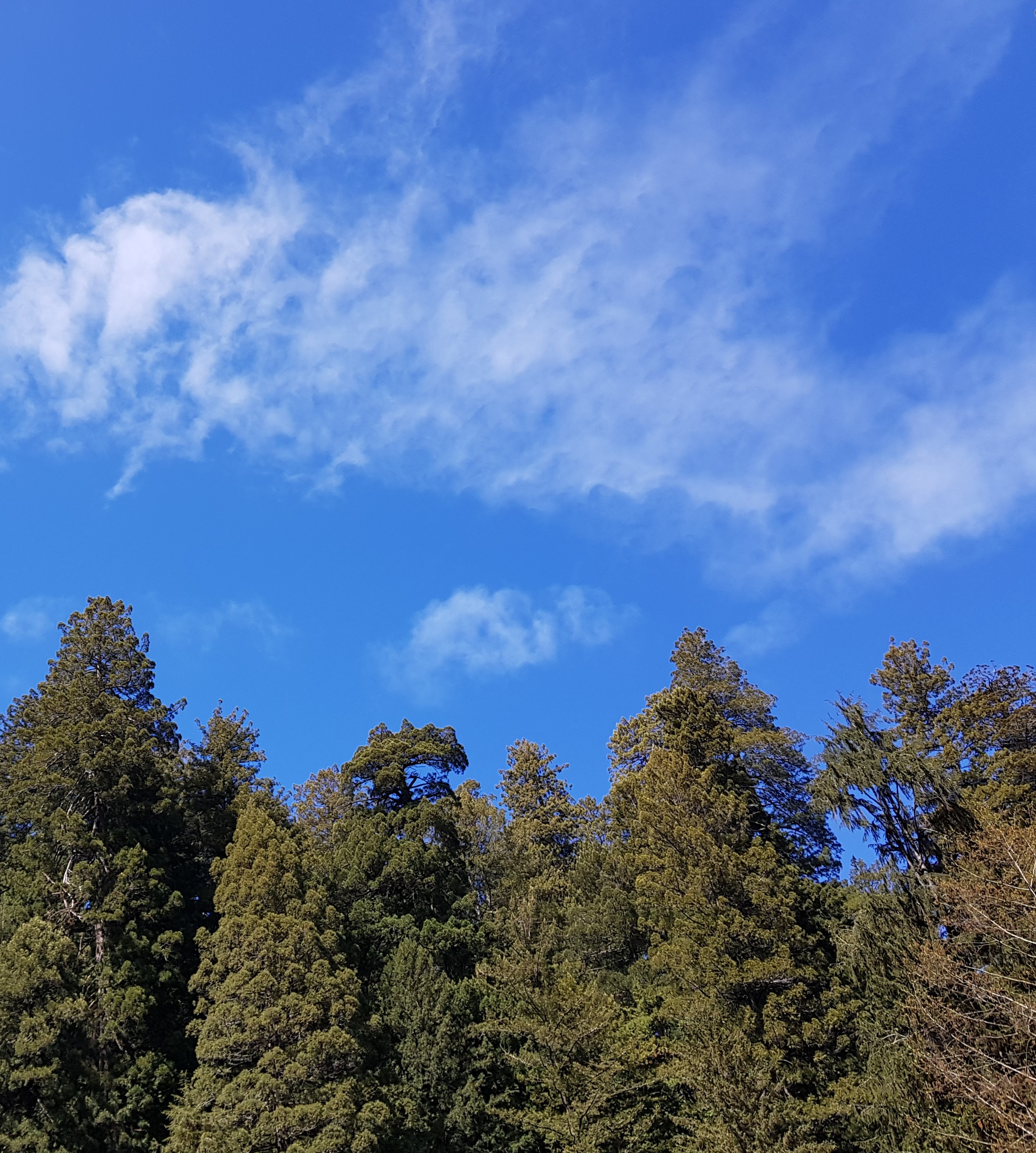 Las nubes